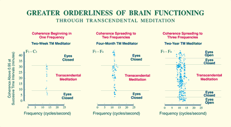 Transcendental 
                                             Meditation Technique