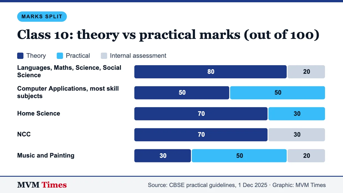 Bar chart of CBSE Class 10 theory, practical and internal assessment marks out of 100 for main subject groups